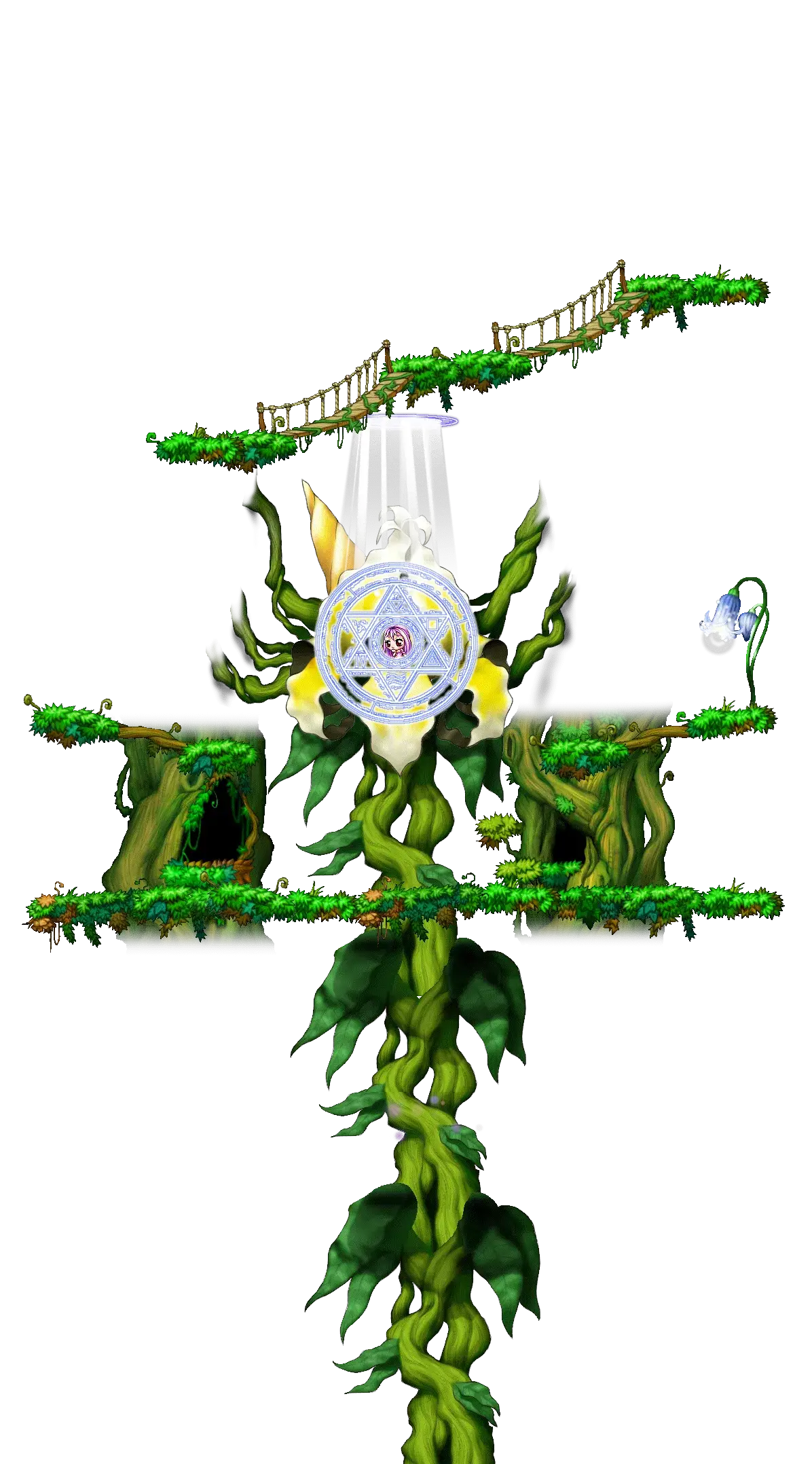 Marr's Forest map