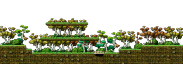 The Blue Mushroom Forest minimap