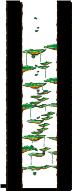 Tree Dungeon, Monkey Forest I minimap