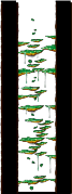 Tree Dungeon, Monkey Forest II minimap