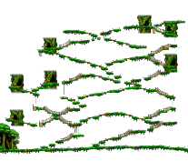 The Forest South of Ellinia minimap