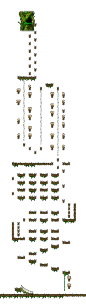 The Forest of Patience <Step 2> minimap