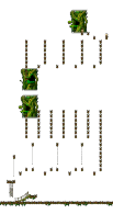 The Forest of Patience <Step 3> minimap