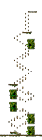 The Forest of Patience <Step 5> minimap