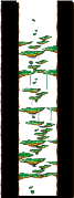 Tree Dungeon, Forest Up North III minimap