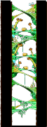 Tree Dungeon, Forest Up North VII minimap