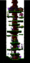The Faded Canopy minimap
