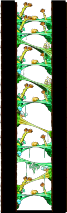 Magician's Tree Dungeon minimap
