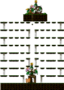 Physical Fitness Test <Level 1> minimap