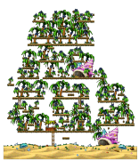Coconut Harvest minimap