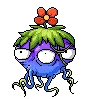 Echopus die1