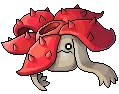 Rafflesia