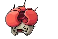 Raffle die1